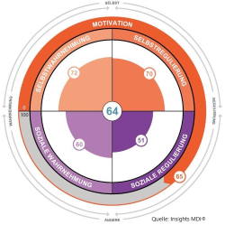 Trimetrix EQ Persönlichkeitstest mit Verhalten, Motiven und emotionaler Intelligenz 